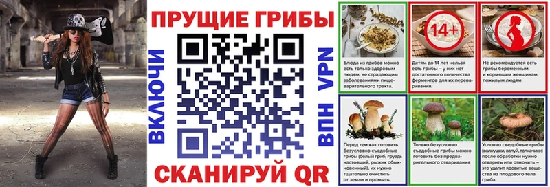 kraken ссылки  Мезень  shop телеграм  Галлюциногенные грибы мицелий 